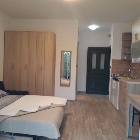 Apartmani Andrea Studio Herceg Novi Dış mekan fotoğraf